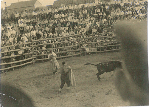 1953. Toros en el corral de Obelar.Fiestas del Cristo